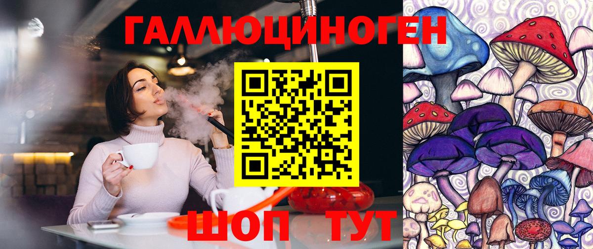 Омск  Псилоцибиновые грибы Psilocybe  Вход с VPN 